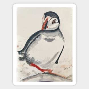 Puffin Sticker